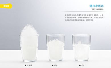 北纬22°的温暖 广东鸿基羽绒制品的匠心之旅