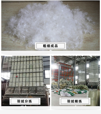 厂家直供高纯度水洗鸭绒鹅绒 赋能羽绒制品定制化新体验