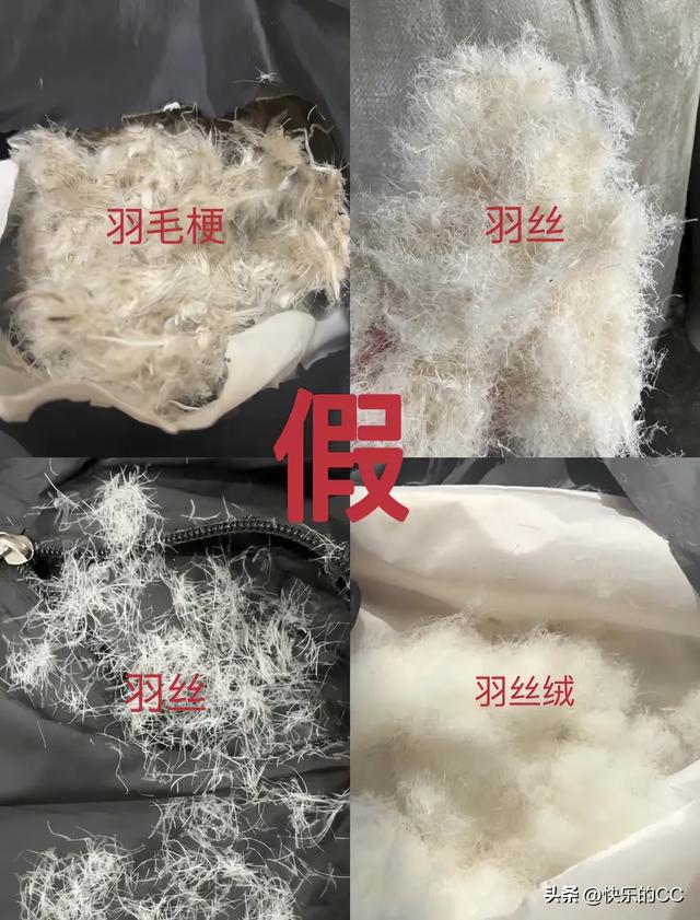 扬州万达羽绒制品股份 匠心织就温暖，品质定义未来