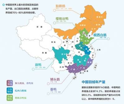 中国高品质羽绒及原产地 拥抱温暖，源自纯净